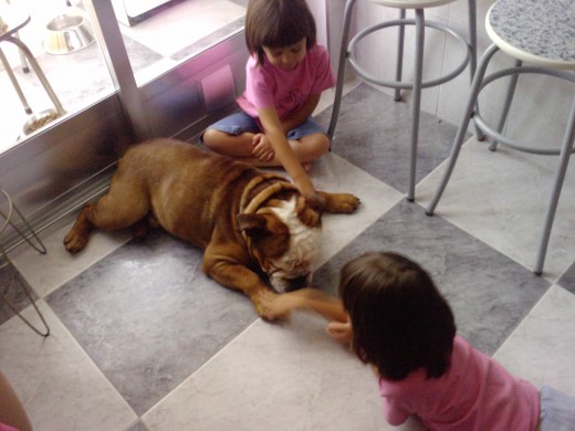 Jugando con las niñas!!