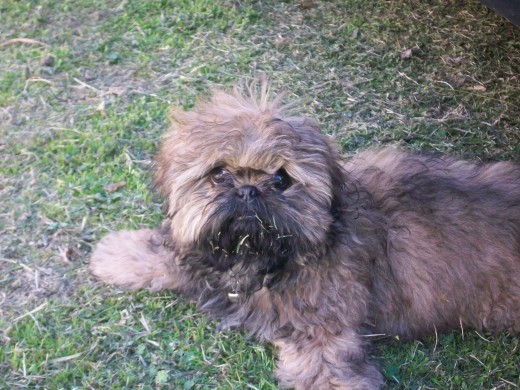 Aca tenia 3 meses mi bebe!!! Aca tenia 3 meses mi bebe!!!