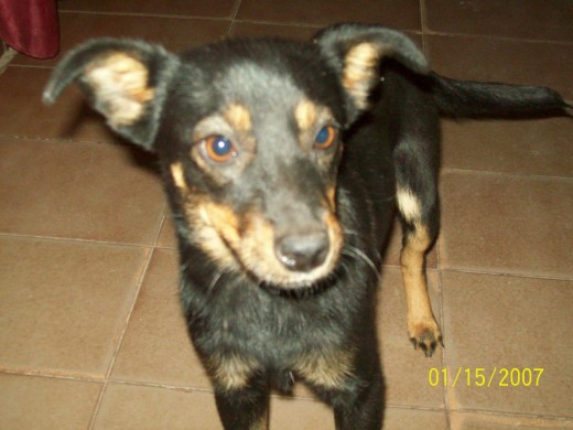 esta es chiquitita se llama asi porque es muy pequeñita 