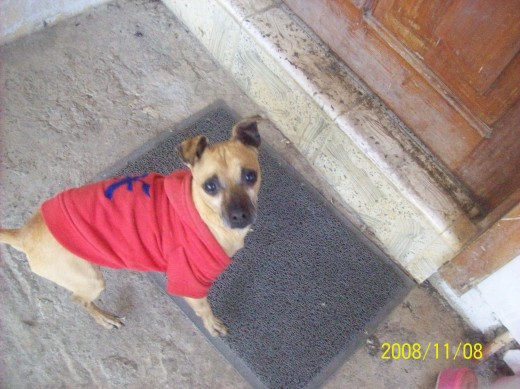 Dary hermoso Dary hermoso