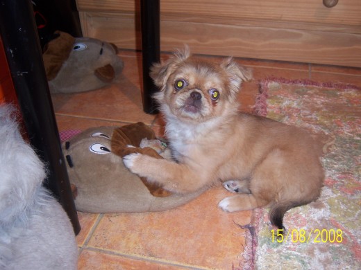 mi pantufla y mi bebe.... son casi iguales, cuando era chiquita... usaba la pantufla de cunita si yo no estaba!