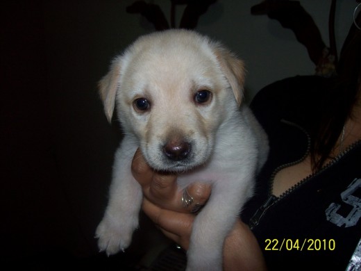 Hermosaaaaa