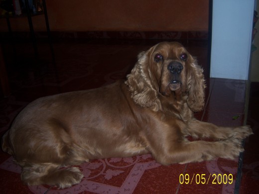 pOsando jaja pOsando jaja