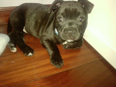 Bruc:) Bruc:)