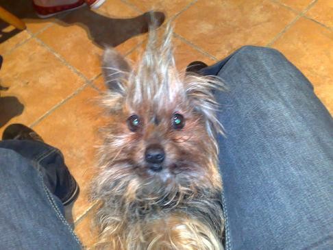 Punkie!! Punkie!!