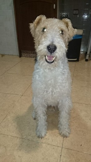 es lo mas guapo que tengo