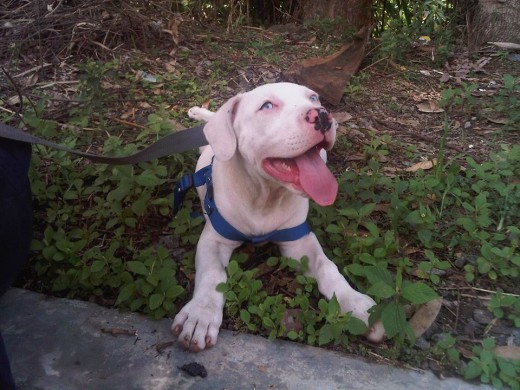 aquí estaba descansando de una gran caminata hacia unos charcos 