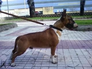 tayson con 14 meses pendiente de algo ajjaja