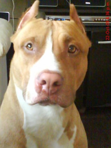 Byron busca noviaaa!!!