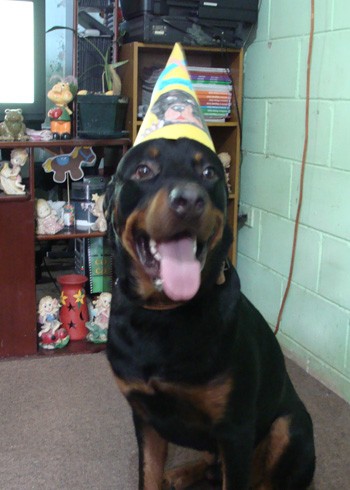 su primer cumpleaños