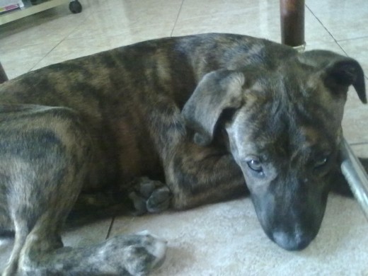 k wapooo!