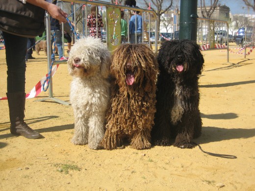 Tula, Facundo y Zara