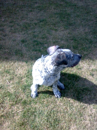 18/10/09 en el parque jugando