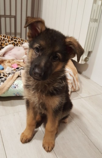 Que adorable es!