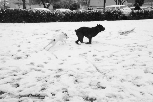 En la nieve a lo loco!