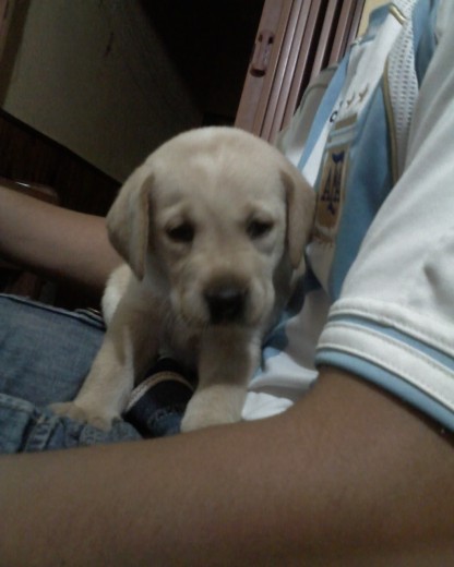 1 mes 1 mes