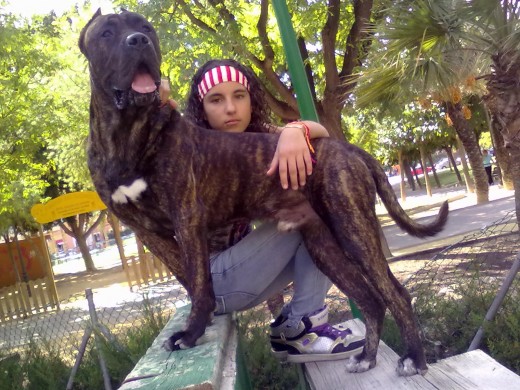 mi niña y sirkan..presa canario