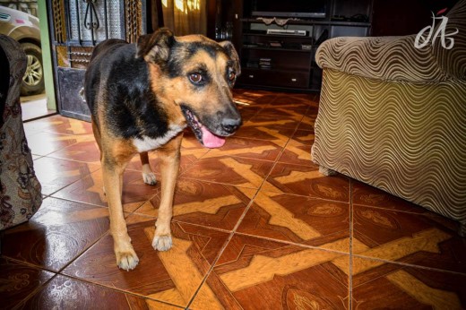 Mi gran compañero y hermano.