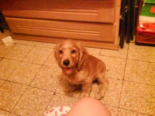 ES MI BBBEEE