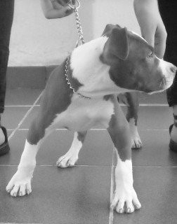 el chiqitin cuando tenia 3 meses ! (: el chiqitin cuando tenia 3 meses ! (: