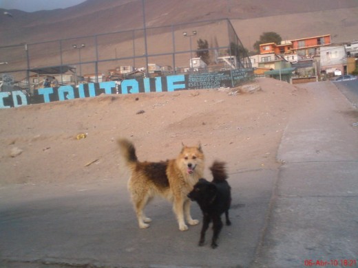 con su amigo