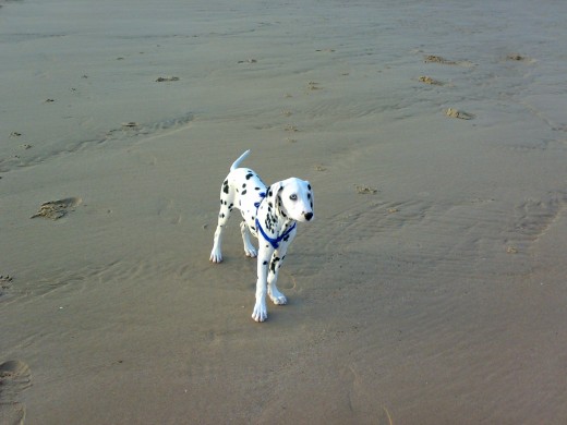 en la playita jugando jajajaja