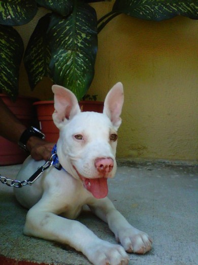 Recien llegado a casa :)