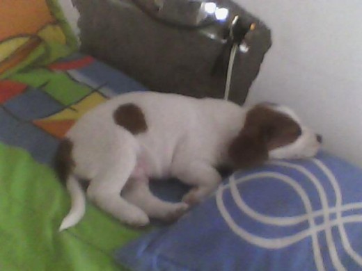 que bello