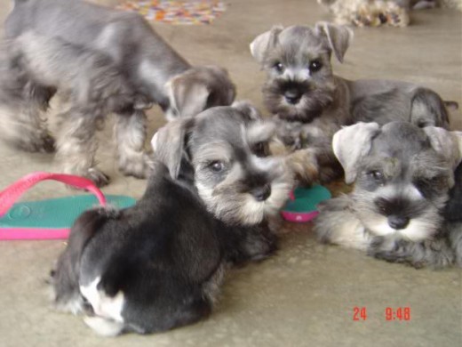 mi bebe con sus hermanitos mi bebe con sus hermanitos