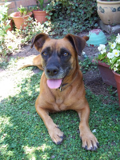 Mi Bianca en el jardín desu casa Mi Bianca en el jardín desu casa