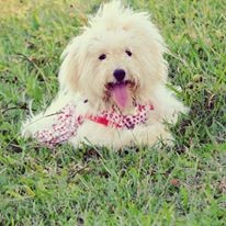 Mi Modelito Mi Modelito