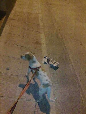 Paseando una noche de verano, vaya, suena romantico y todo.