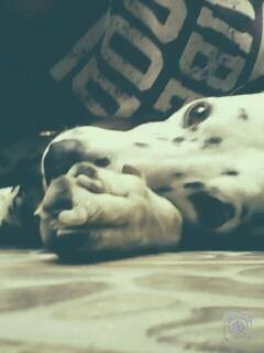 Abrazame Abrazame