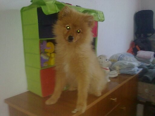 en la habitacion de mi sobri