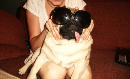 Kiko con sus gafas de sol!!jajaja...k majico