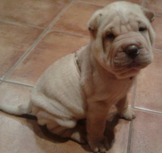 Zac con cada de pasa, cuando tenia 1 mes
