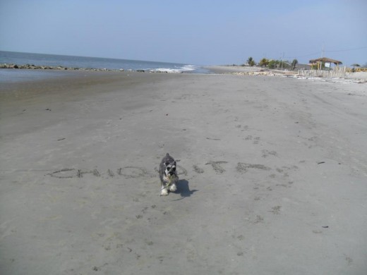 EN LA PLAYA DE JAMBELI - EL ORO