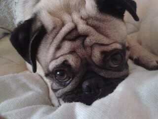Mi sobrino Franky! Mi sobrino Franky!