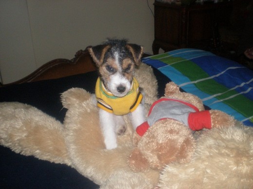 Jackito de mesesitos con su gigante peluche