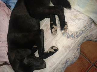 Lia durmiendo 