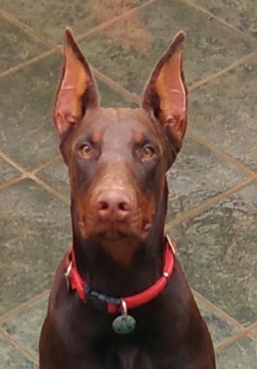 URKO 8 MESES