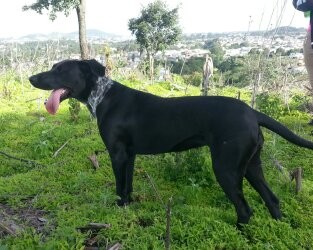 en la cima de un cerro con chelsea