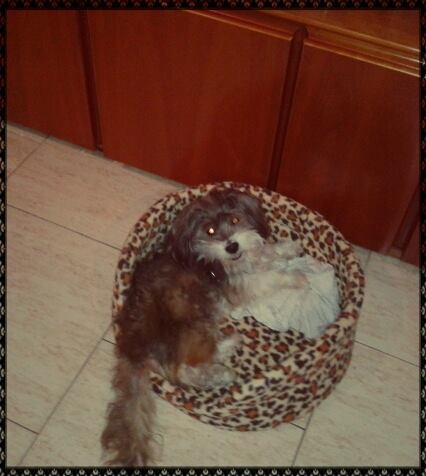 En su camita :) En su camita :)