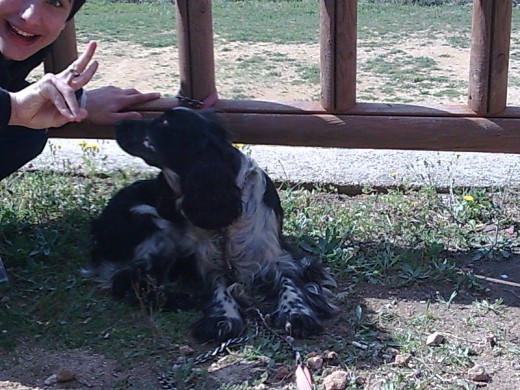 En el parque