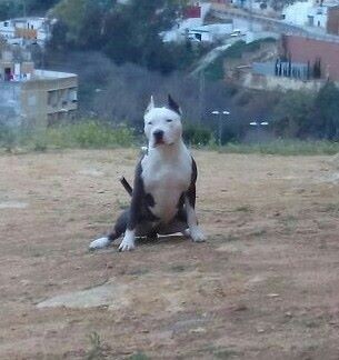 Sira en alcala guadaira 