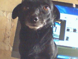 es mi chiquis ya tiene 4 añitos es mi chiquis ya tiene 4 añitos