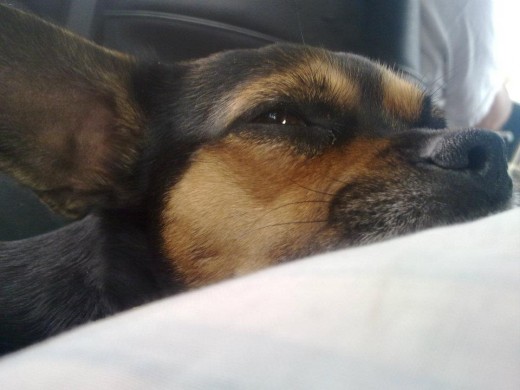 dejenme dormiiirrr