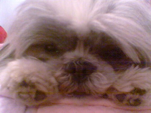 mi pequeño acostado mi pequeño acostado