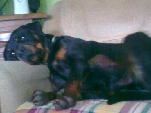 como molo y estoy muy comodo,jajajajaja