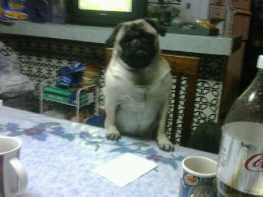 INTENTANDO COMER CON MIS ABUELITOS QUE ME QUIEREN MUUUCHOOOOO!!